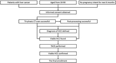 Enhanced CT Textures Derived From Computer Mathematic Distribution Analysis Enables Arterial Enhancement Fraction Being an Imaging Biomarker Option of Hepatocellular Carcinoma